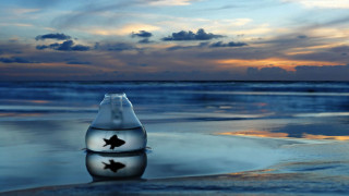 Bottle fish beach sunset surreal - dawn free wallpaper