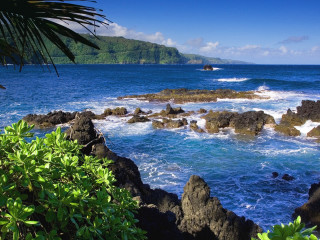 Rocky beach waves crashing trees - wave free wallpaper