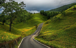 Winding road lush green hillside 2 - a lush green hillside free wallpaper