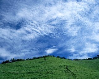 Green hill tree cloudy sky 2 - a green hill free wallpaper