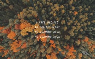 Forest quote follow jesus no - jesus free wallpaper for desktop