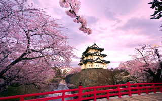 Red bridge castle cherry blossoms - a red bridge free wallpaper
