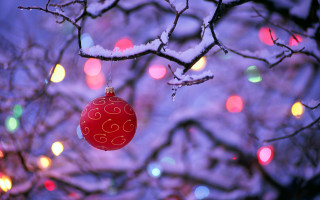 Red ornament tree lights snow - a red ornament free wallpaper