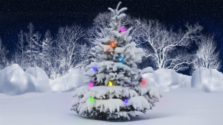 Christmas tree snow lights falling - covered ground free wallpaper