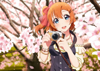 Girl taking picture cherry blossom - a camera free wallpaper for desktop
