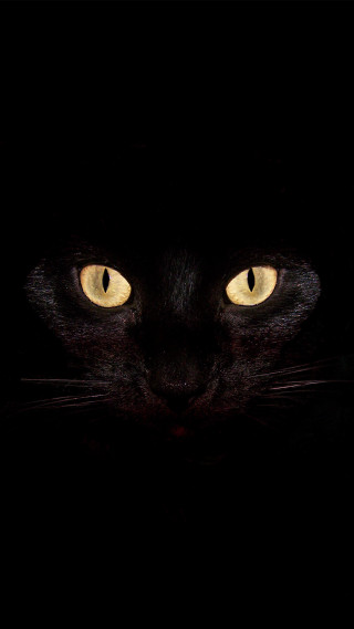 Black cat yellow eyes dark 6 - visible free wallpaper for mobile
