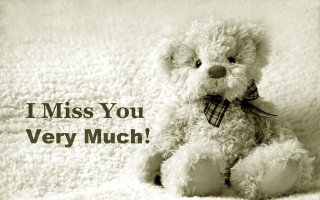 Teddy bear blanket i miss - a blanket free wallpaper