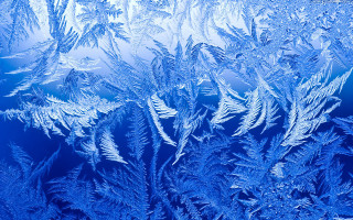 Frosted window closeup blue ice - window free wallpaper for desktop