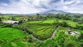 Lush green field river houses - free landscape wallpaper
