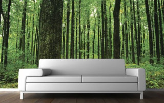 Couch forest mural white room - a white couch free wallpaper