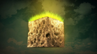 Wood green substance sky clouds - a piece of wood free wallpaper