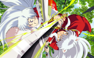 Bamboo forest battle sword wolf - a white beard free wallpaper