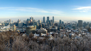 City skyline snowy winter panoramic - tall building and trees free wallpaper