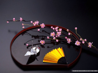 Mirror fan flower paper crane - the mirror free wallpaper