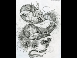 Dragon tattoo design paper dragon - a sheet of paper free wallpaper