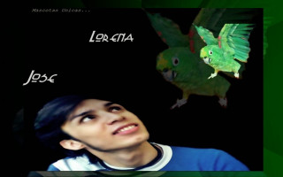 Man looking up green bird - eduardo lefebvre scovell free wallpaper