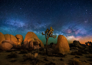 Night sky stars tree rocks - a night sky free wallpaper for desktop