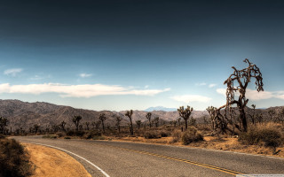 Road cactus mountains clouds sky - carl hoppe free wallpaper