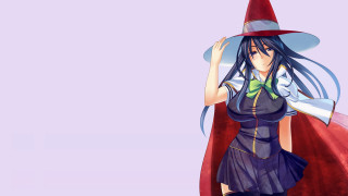 Woman witch costume broom red - a broom free wallpaper