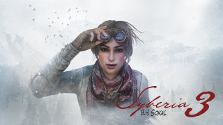 Woman scarf necklace bird snow - her head and a bird free wallpaper