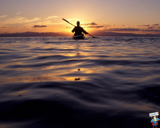 Paddle board sunset rider water - the sun setting behind them free wallpaper for desktop