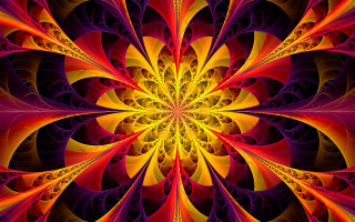 Colorful flower fractal psychedelic bat - a colorful flower free wallpaper