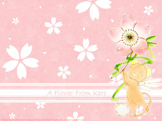 Pink flower teddy bear kyoto - a teddy bear free wallpaper
