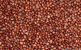 Coffee beans autumn halloween pumpkin - ai weiwei free wallpaper