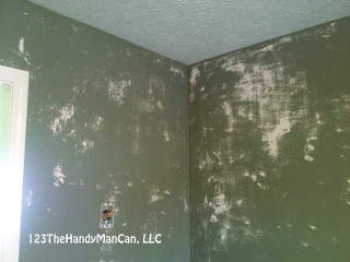 Green white wall light switch - renaissance oil painting free wallpaper