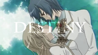 Man white shirt tie blue - his neck free wallpaper