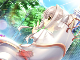 Woman sitting chair suitcase tree - a suitcase free wallpaper