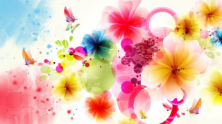 Colorful flower butterfly background vivid - vivid free wallpaper
