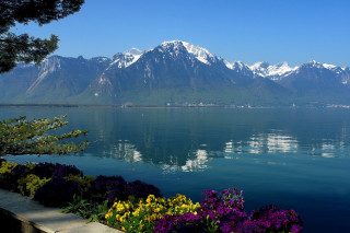 Lake mountains flowers blue sky 2 - synthetism free wallpaper