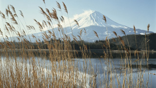 Mountain lake reeds background foreground - murata range free wallpaper for desktop