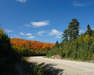 Road trees sky clouds nature - color free wallpaper