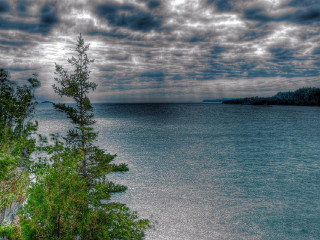 Lake tree cloudy sky nature - a tree in the foreground free wallpaper for desktop