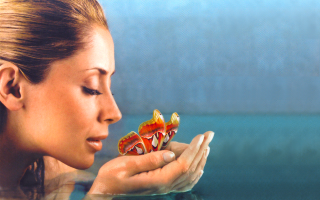 Woman surprised food hand looking - look free wallpaper