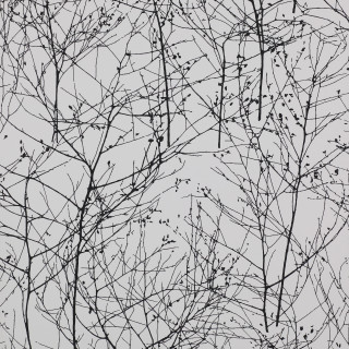 Black white branches no leaves - cerith wyn evans free wallpaper for tablet