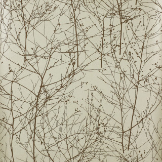 Bare tree no leaves winter - a picture of a tree free wallpaper