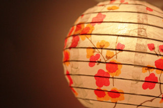 Paper lantern flower pattern hanging - ambient light free wallpaper