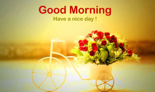Vase flowers bike good morning - a good morning free wallpaper