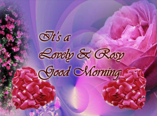 Pink rose purple background lovely - a pink rose free wallpaper