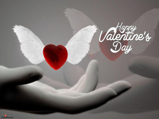 Hand heart wings flying happy - a hand holding free wallpaper