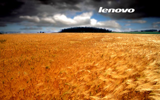 Wheat field cloudy sky lenovo 2 - fall vibrancy free wallpaper