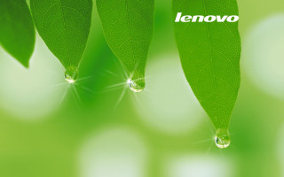 Green leaf lenovo water drop - a drop of water free wallpaper