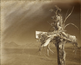 Cross vines desert mountain sunbeam - the desert free wallpaper