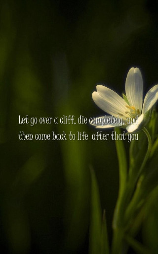 Flower quote grass dark background - the grass free wallpaper for mobile