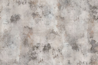 Painted wall black cat brown - paint free wallpaper