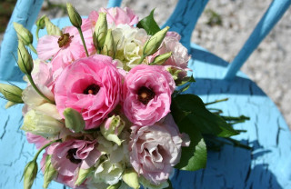 Pink flowers blue chairs still - pastell free wallpaper