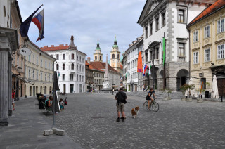 European street man dog cobblestones - tall building and a clock tower free wallpaper